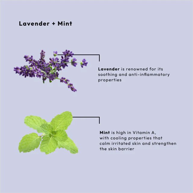 Lavender + Mint Dead Sea Salt Soak